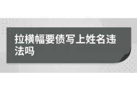 贵定为什么选择专业追讨公司来处理您的债务纠纷？